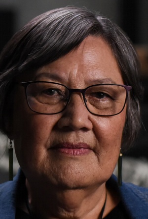 Poster for Speak No Māori