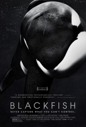 Poster for Blackfish