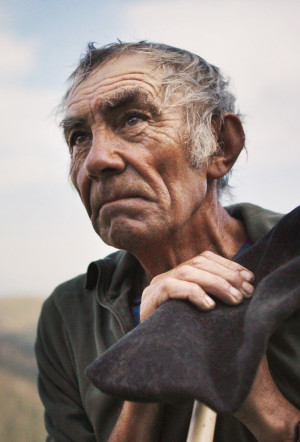 Poster for The Shepherd and the Bear